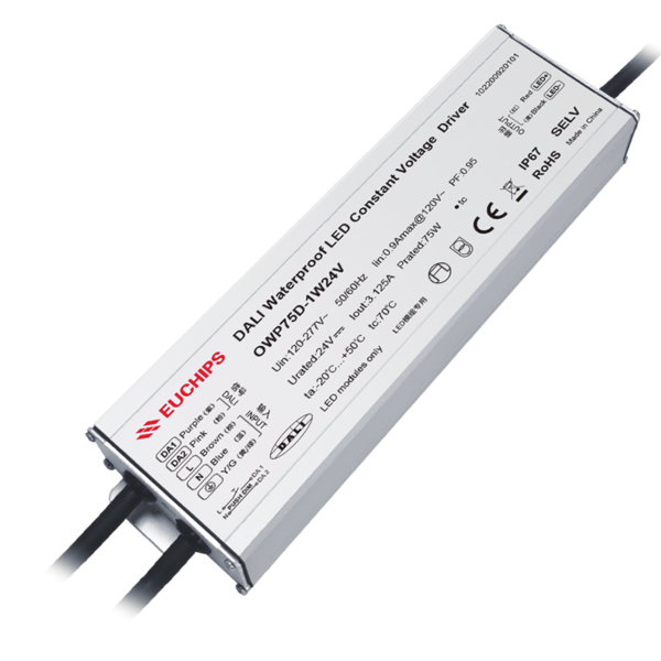 OWP75D-1W24V